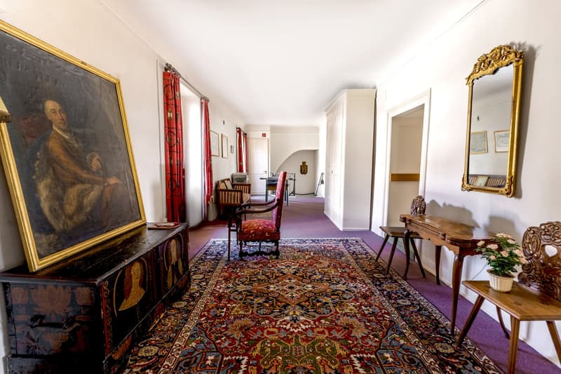 large entrance hall, oriental carpet, wooden furniture, paintings, mirrors, wooden desk, wooden chairs