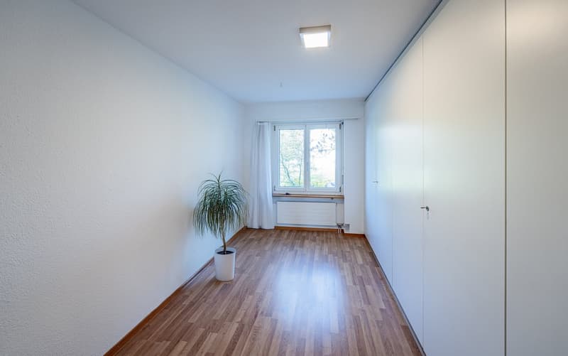empty room, wooden floor, white walls, white ceiling, white plant pot, white curtains, window with white frame