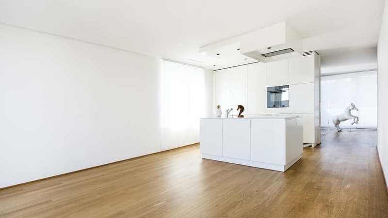 Exklusive 4½-Zimmer-Attikawohnung in Toplage von Aarau (1)