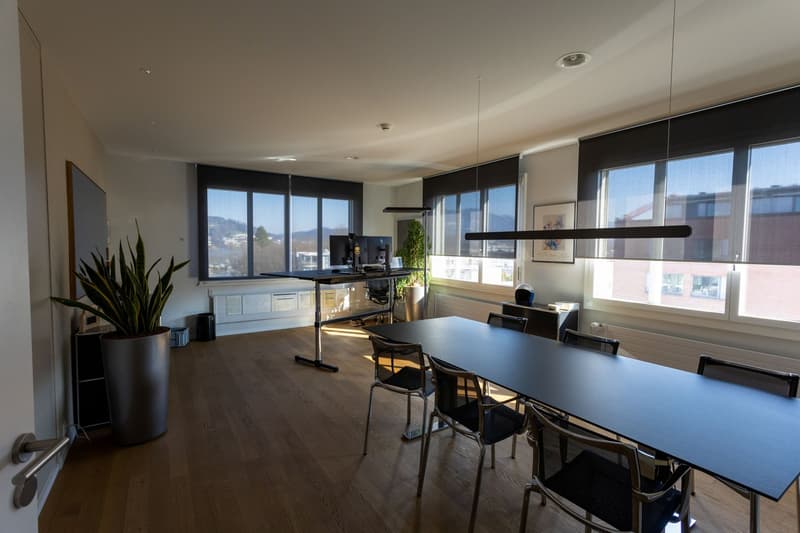 Commercial & Office Spaces in Top Location in Lucerne (5)