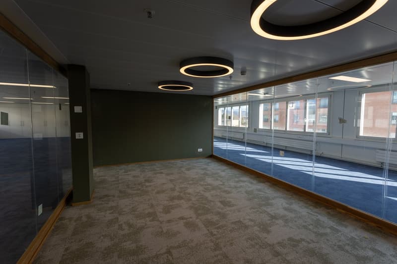 Commercial & Office Spaces in Top Location in Lucerne (6)