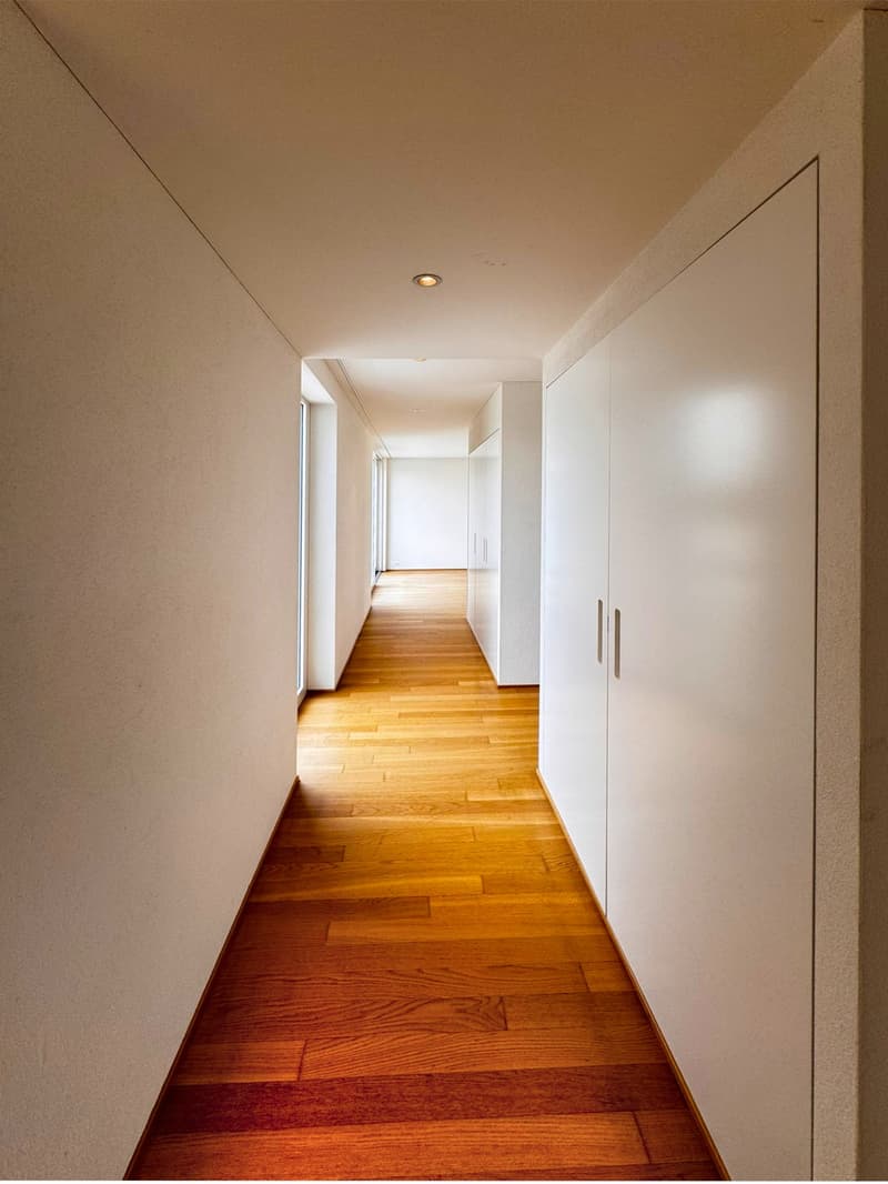 Exklusive 4½-Zimmer-Attikawohnung an Toplage in Aarau (3)