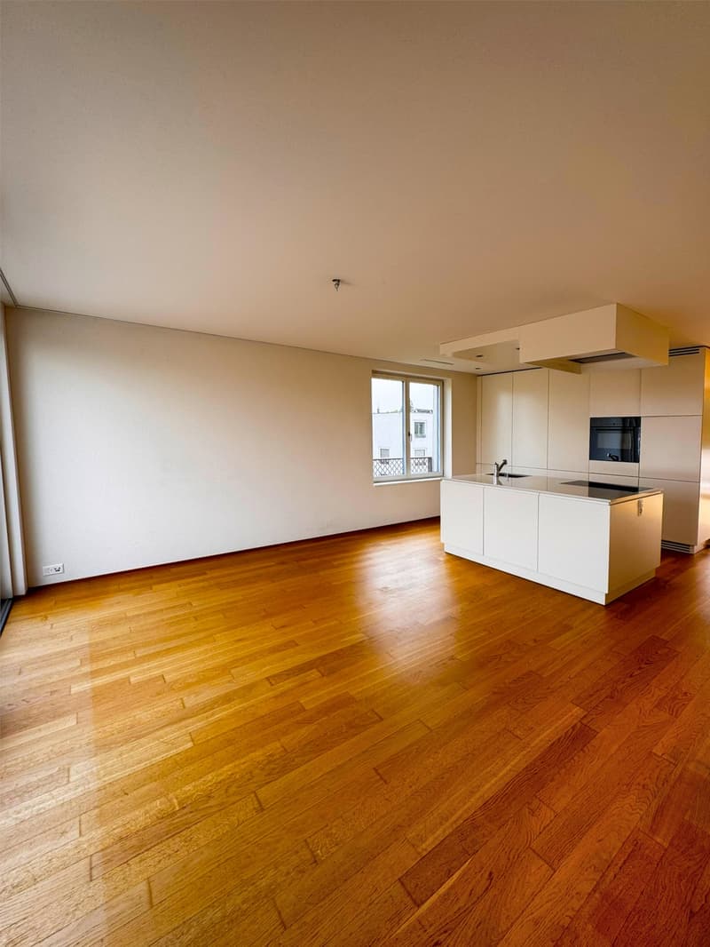 Exklusive 4½-Zimmer-Attikawohnung an Toplage in Aarau (1)