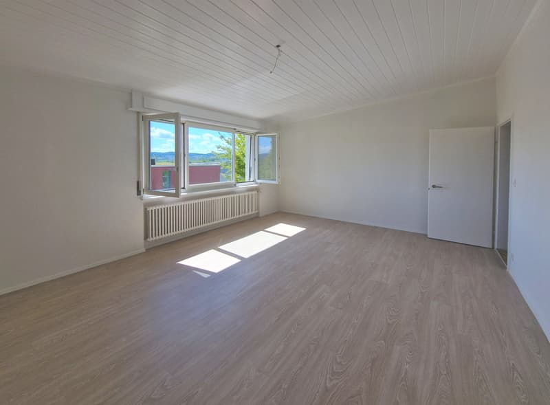 Grosszügiges 6-Zimmer-Einfamilienhaus mit viel Privatsphäre und Weitsicht in Biberstein (9)