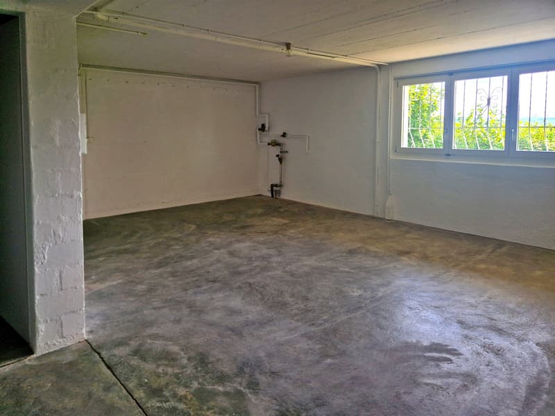 Grosszügiges 6-Zimmer-Einfamilienhaus mit viel Privatsphäre und Weitsicht in Biberstein (16)