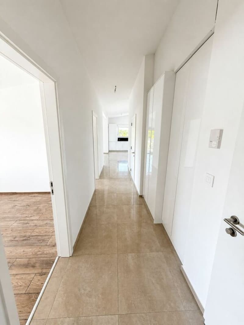 Apartment 4.5 (5)
