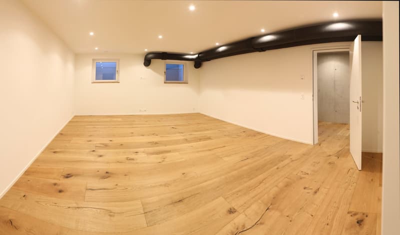Oberwil Meilleure Situation : Villa Exclusives de 6 Pièces avec Piscine, Jardin & Appartement Indépendant (25)