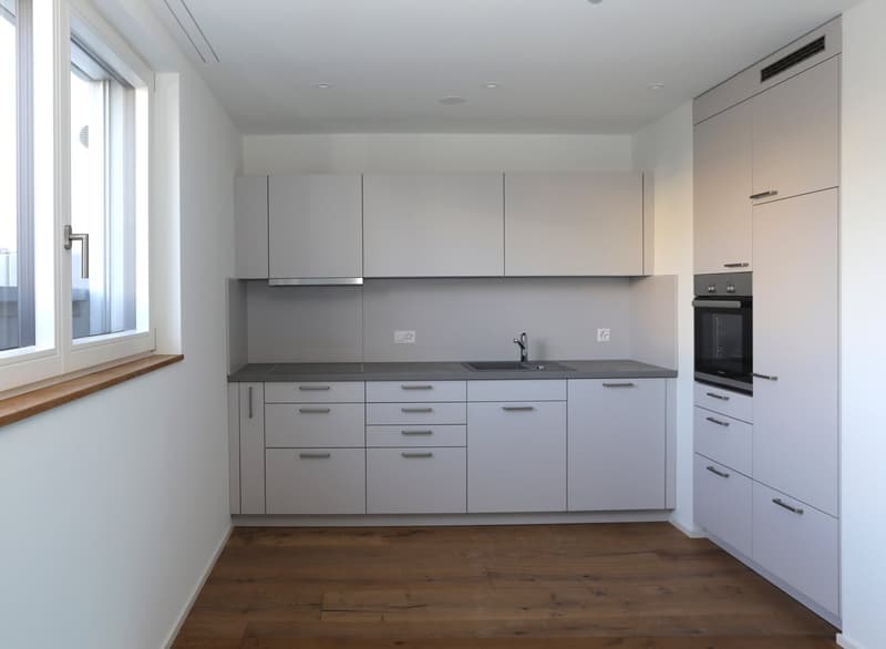 Oberwil Meilleure Situation : Villa Exclusives de 6 Pièces avec Piscine, Jardin & Appartement Indépendant (23)