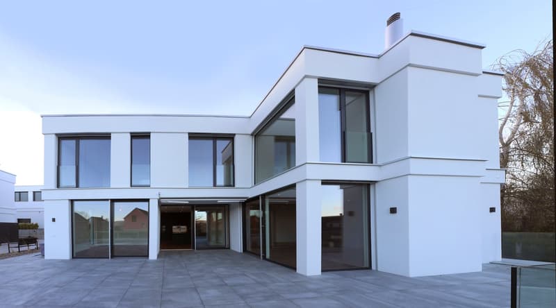 Oberwil Meilleure Situation : Villa Exclusives de 6 Pièces avec Piscine, Jardin & Appartement Indépendant (2)