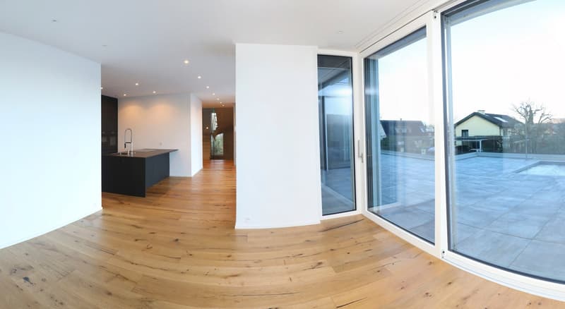 Oberwil Meilleure Situation : Villa Exclusives de 6 Pièces avec Piscine, Jardin & Appartement Indépendant (10)