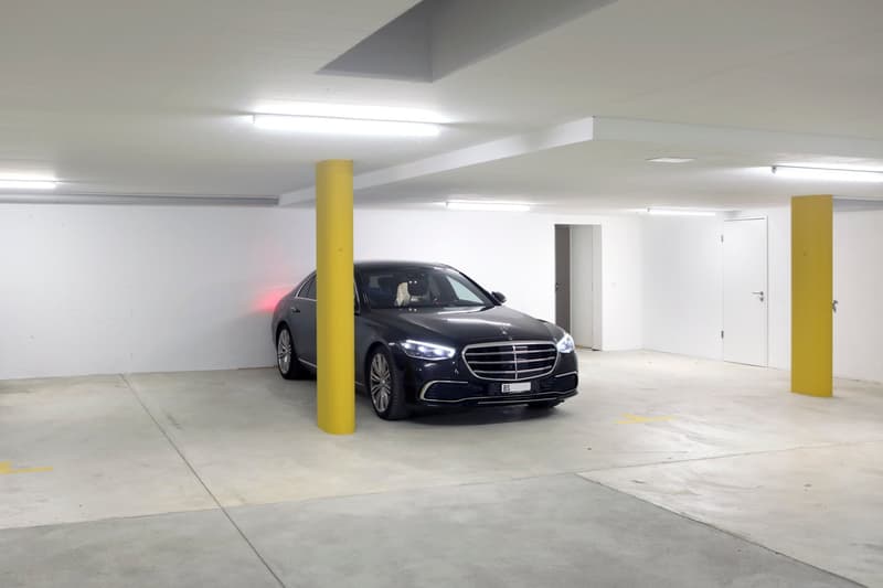 Oberwil Meilleure Situation : Villa Exclusives de 6 Pièces avec Piscine, Jardin & Appartement Indépendant (27)