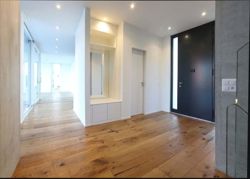 Oberwil Meilleure Situation : Villa Exclusives de 6 Pièces avec Piscine, Jardin & Appartement Indépendant (5)