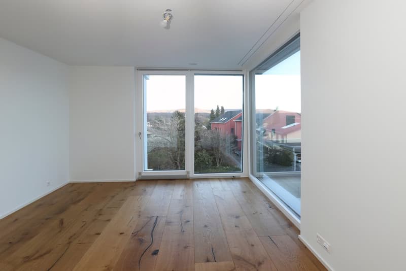 Oberwil Meilleure Situation : Villa Exclusives de 6 Pièces avec Piscine, Jardin & Appartement Indépendant (20)