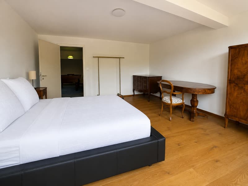 Einzigartige 14-Zimmer-Villa zur möblierten Miete in Metzerlen-Mariastein (14)