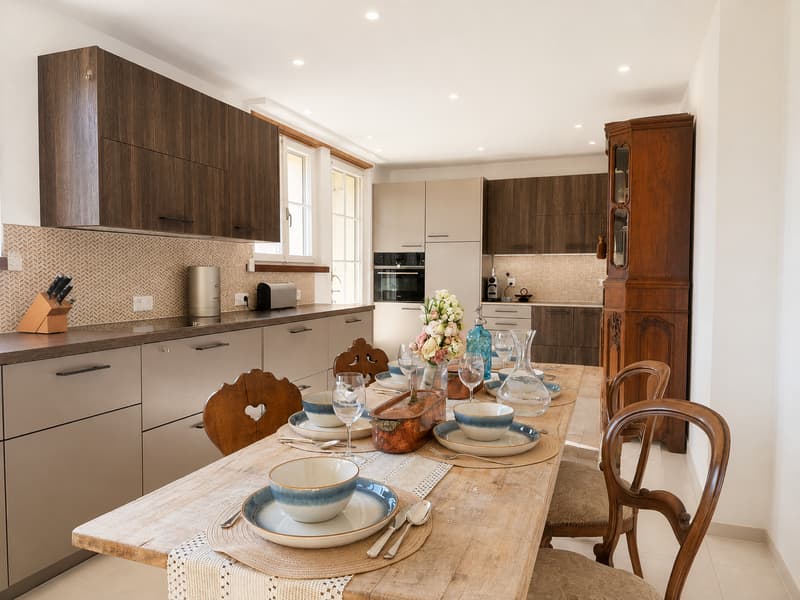 Einzigartige 14-Zimmer-Villa zur möblierten Miete in Metzerlen-Mariastein (9)