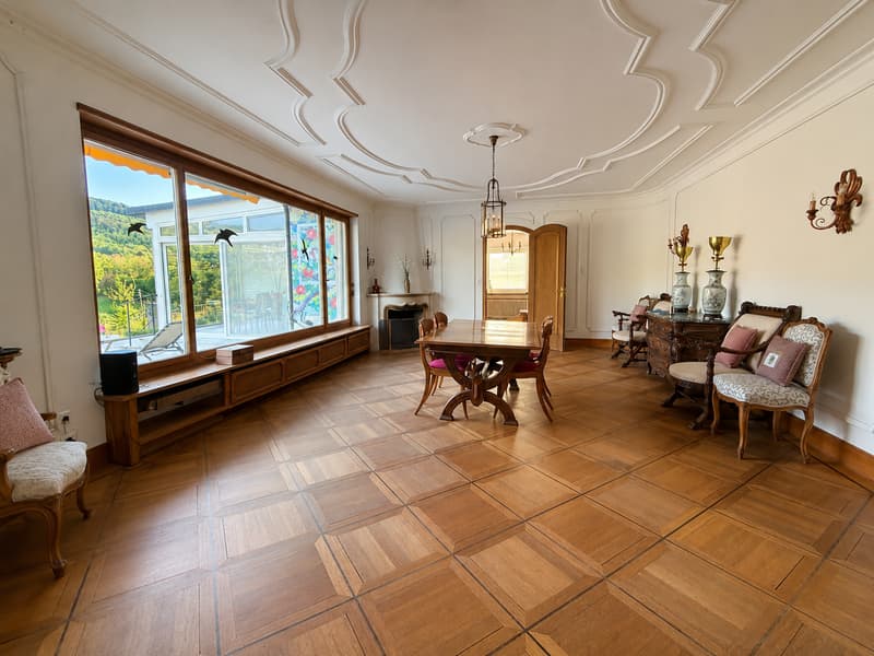 Einzigartige 14-Zimmer-Villa zur möblierten Miete in Metzerlen-Mariastein (7)