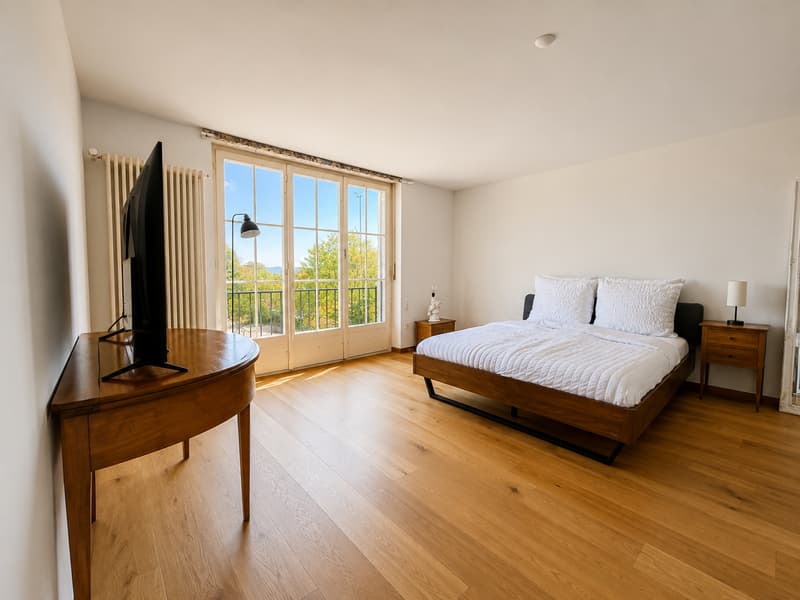 Einzigartige 14-Zimmer-Villa zur möblierten Miete in Metzerlen-Mariastein (13)