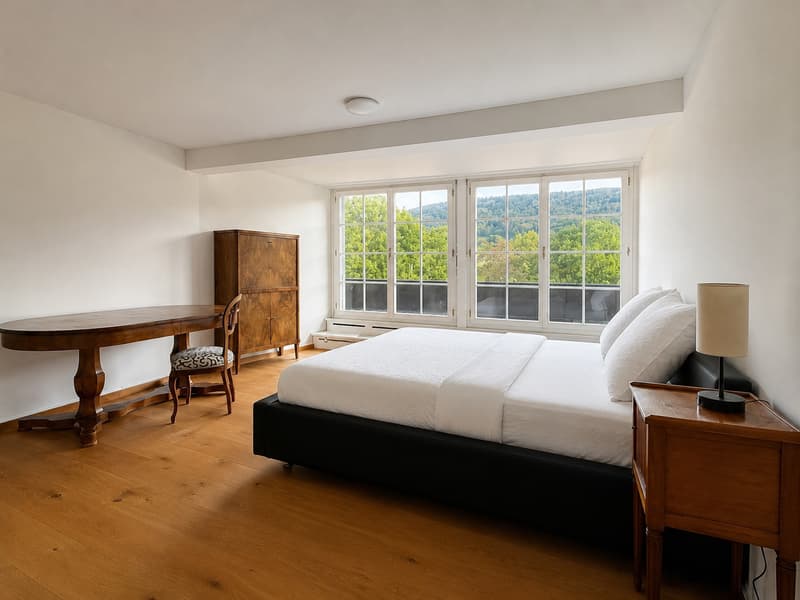 Einzigartige 14-Zimmer-Villa zur möblierten Miete in Metzerlen-Mariastein (15)
