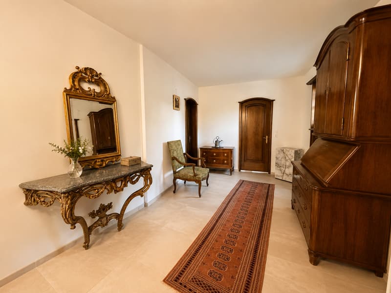 Einzigartige 14-Zimmer-Villa zur möblierten Miete in Metzerlen-Mariastein (8)