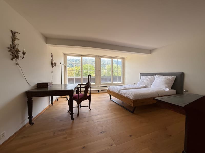 Einzigartige 14-Zimmer-Villa zur möblierten Miete in Metzerlen-Mariastein (17)