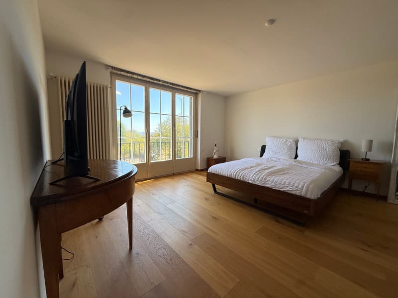 Einzigartige 14-Zimmer-Villa zur möblierten Miete in Metzerlen-Mariastein (19)