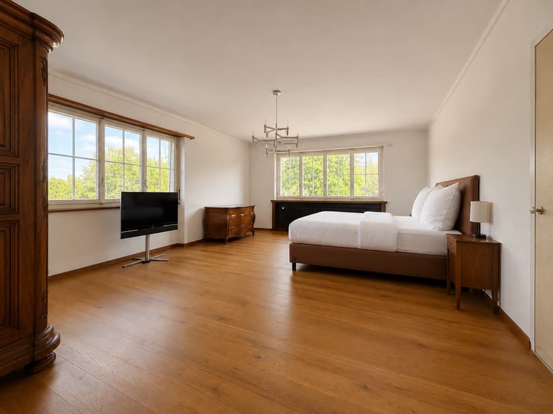 Einzigartige 14-Zimmer-Villa zur möblierten Miete in Metzerlen-Mariastein (10)