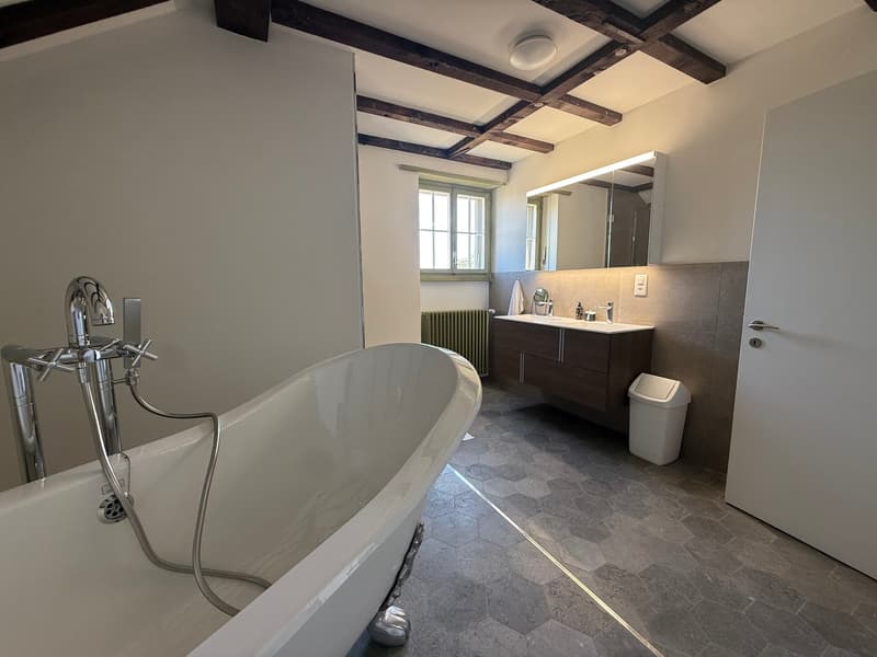 Einzigartige 14-Zimmer-Villa zur möblierten Miete in Metzerlen-Mariastein (24)