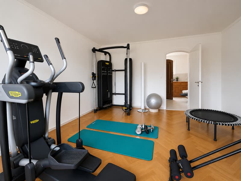 Einzigartige 14-Zimmer-Villa zur möblierten Miete in Metzerlen-Mariastein (30)