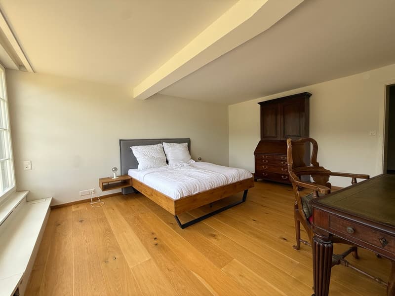 Einzigartige 14-Zimmer-Villa zur möblierten Miete in Metzerlen-Mariastein (16)