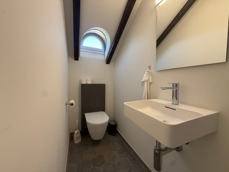 Einzigartige 14-Zimmer-Villa zur möblierten Miete in Metzerlen-Mariastein (21)