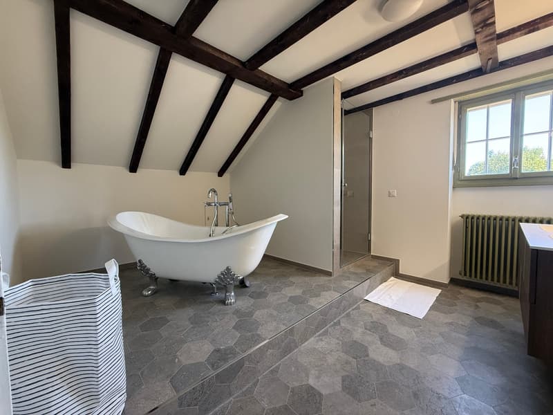 Einzigartige 14-Zimmer-Villa zur möblierten Miete in Metzerlen-Mariastein (22)
