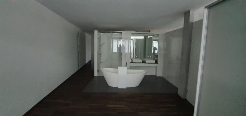 Wunderschöne Loft (6)