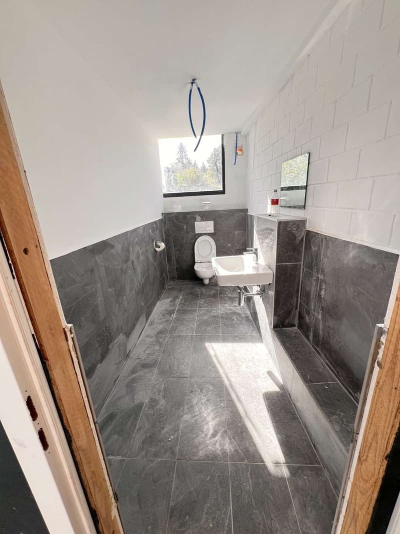 Toilette_komprimiert