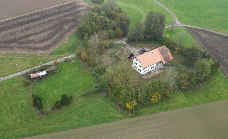 New building with 2 modern apartments and plenty of space for your pets (2)