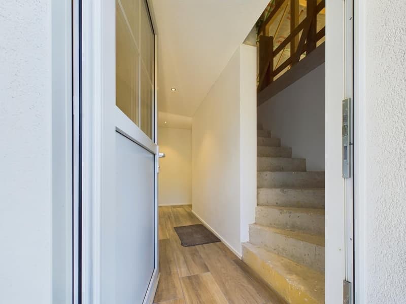 New building with 2 modern apartments and plenty of space for your pets (25)