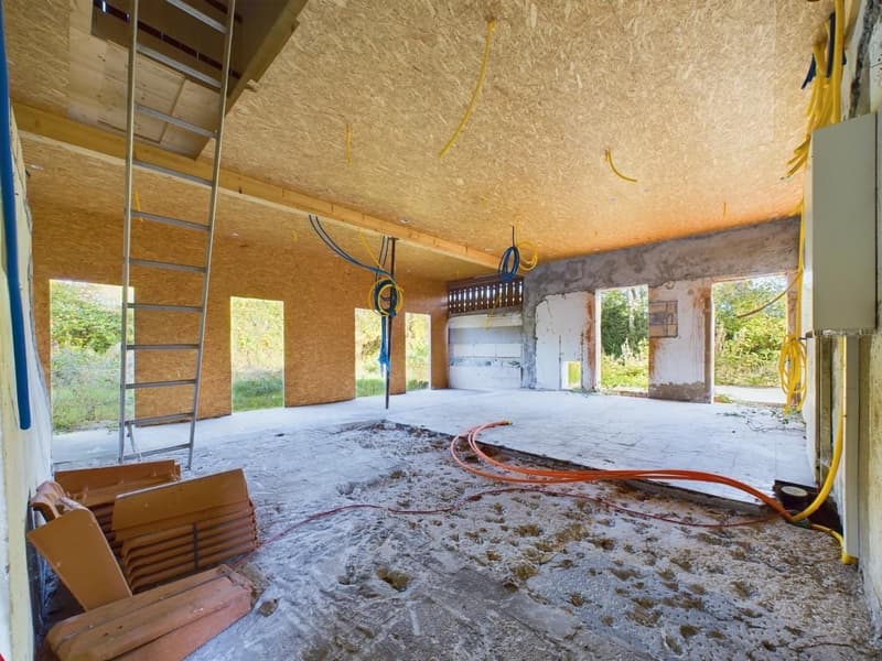 New building with 2 modern apartments and plenty of space for your pets (17)