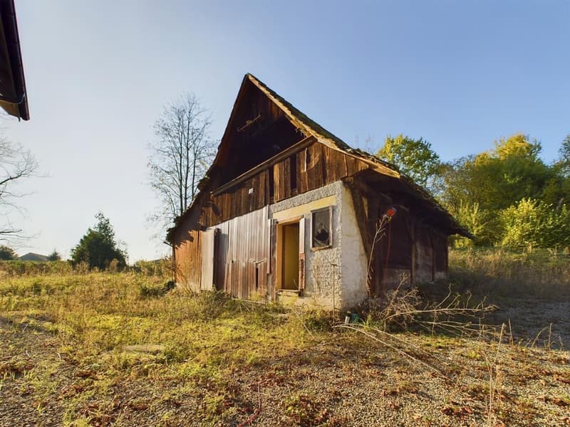 New building with 2 modern apartments and plenty of space for your pets (26)