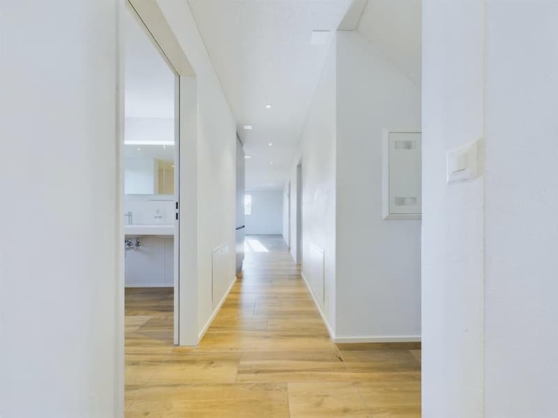 New building with 2 modern apartments and plenty of space for your pets (24)