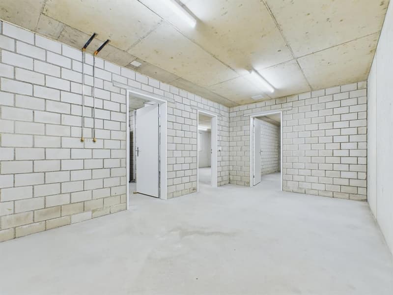 New building with 2 modern apartments and plenty of space for your pets (19)