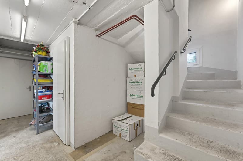 A basement room with storage boxes, a shelf with various items, and stairs