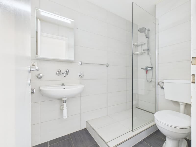 Appartement 3 pièces rénové avec vue panoramique à Biel (8)