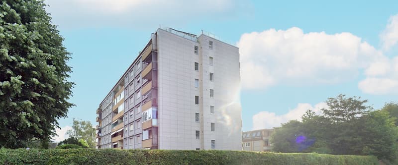 Appartement 3 pièces rénové avec vue panoramique à Biel (18)