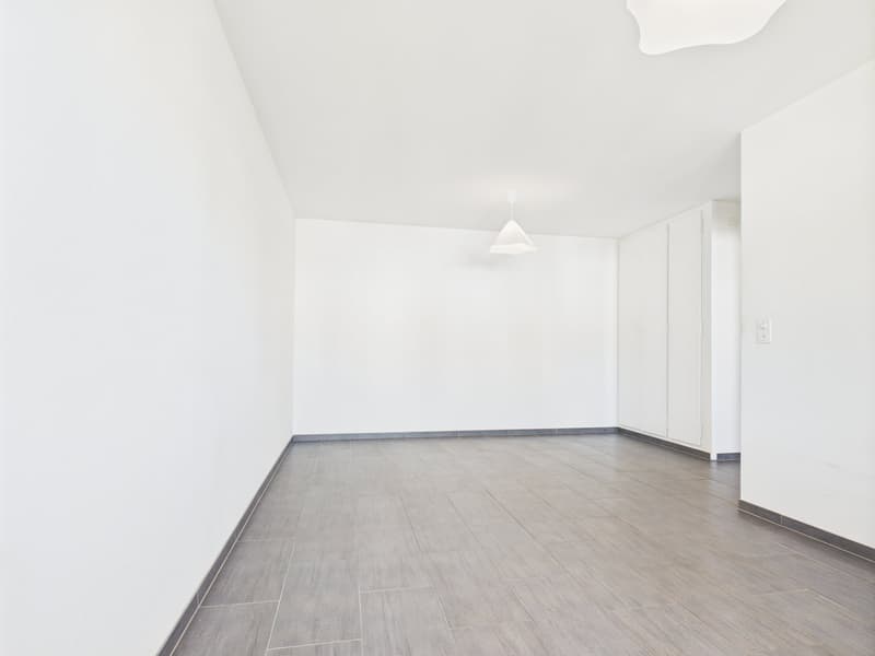 Appartement 3 pièces rénové avec vue panoramique à Biel (12)
