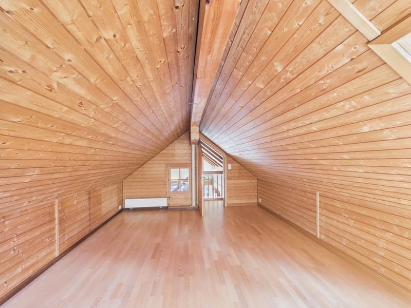3,5 Zimmer Dachwohnung mit Bergsicht und Raumhöhe (21)