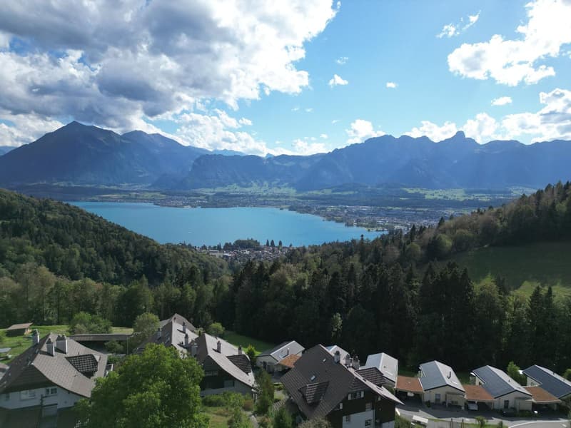 3,5 Zimmer Dachwohnung mit Bergsicht und Raumhöhe (3)