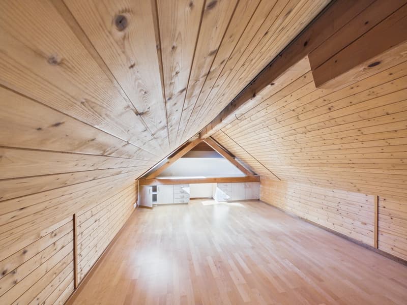 3,5 Zimmer Dachwohnung mit Bergsicht und Raumhöhe (20)