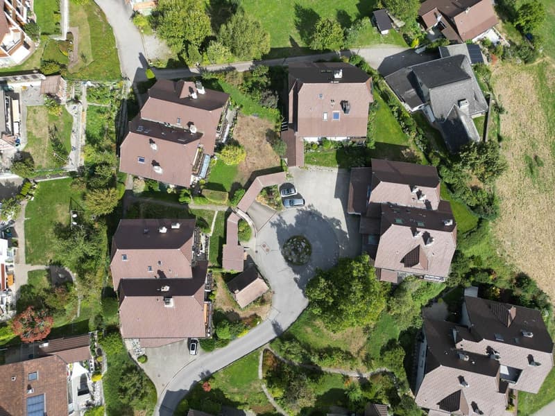 3,5 Zimmer Dachwohnung mit Bergsicht und Raumhöhe (4)