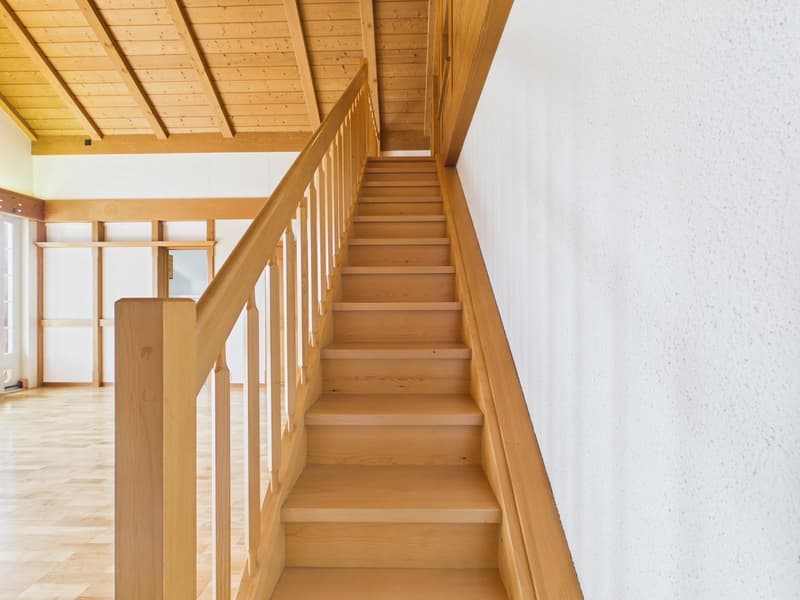 3,5 Zimmer Dachwohnung mit Bergsicht und Raumhöhe (19)