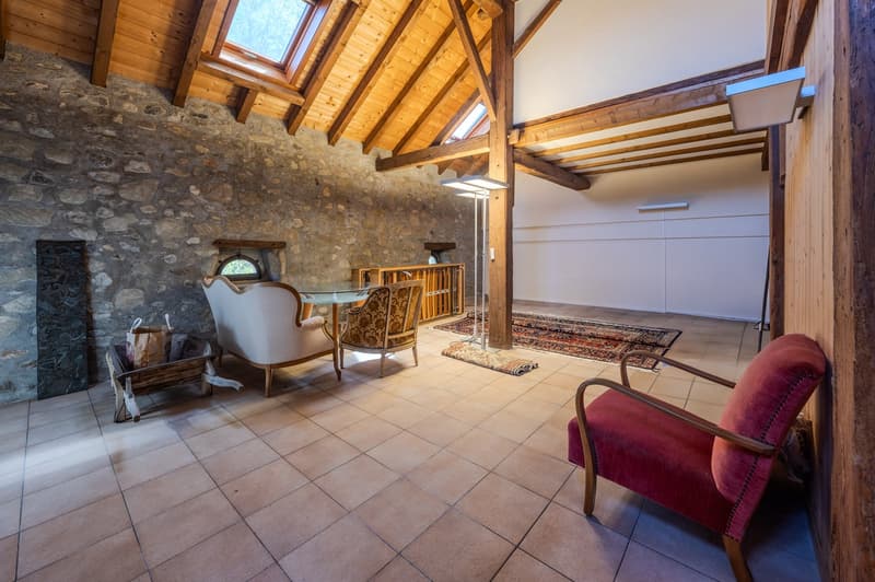 Antica fattoria vaudese superbamente rinnovata con potenziale (14)