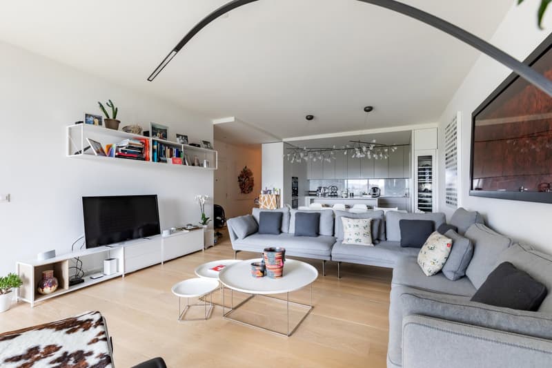 Spacious 5-room apartment with balcony in Genève-Champel (2)